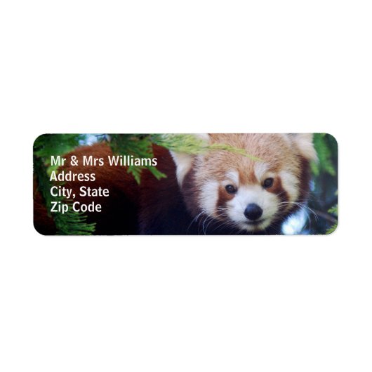 レッドパンダ ラベル (正面)