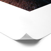 レッドパンダ#1 ポスター (角)