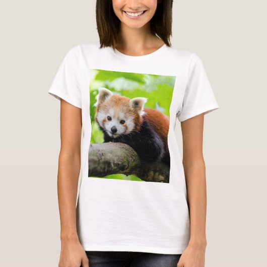 レッドパンダ Tシャツ (正面)