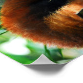 レッドパ食べンダ葉ーズ ポスター (角)