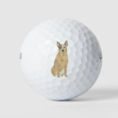 レッドヒーラーオーストラリアのキャットレードッグ ゴルフボール (正面)