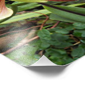 レッドビーナススリッパーオーキッドフローラ フォトプリント            (角)