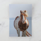 レッドピントスタリオンリープワイルドホースグリーティングカード カード (内部)