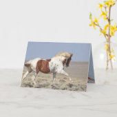 レッドピントスタリオンリープワイルドホースグリーティングカード カード (黄色い花)