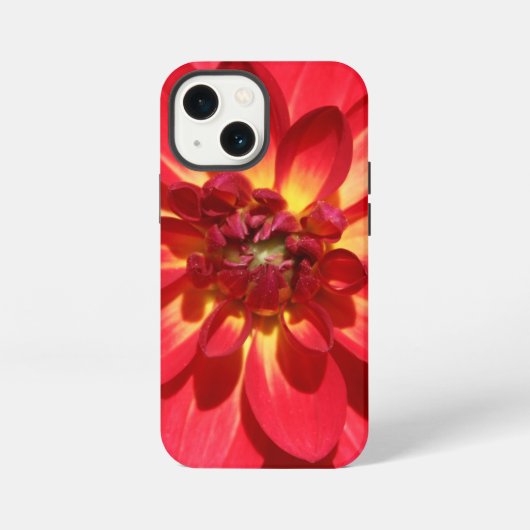レッドファイアーダリアの花 iPhoneケース (裏面)