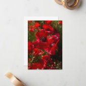 レッドフィールドポピー ノートカード (正面/裏面インサイチュ)