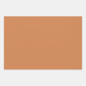 レッドフェアリーハウスカラーズ ラッピングペーパーシート (正面3)