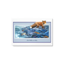 レッドフォックスオンザビーチ