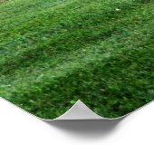 レッドフォックスカラー撮影ポスタープリント ポスター (角)