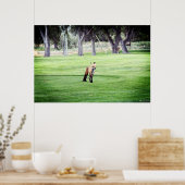 レッドフォックスカラー撮影ポスタープリント ポスター (キッチン)