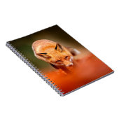 レッドフォックスランニング紅葉のオレンジ色。かわいい赤 ノートブック (右側)