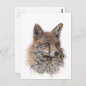 レッドフォックス顔アート ポストカード (正面/裏面)