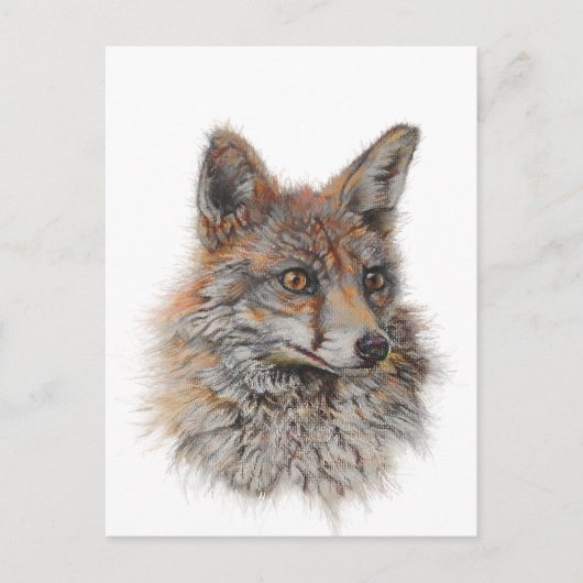 レッドフォックス顔アート ポストカード (正面)