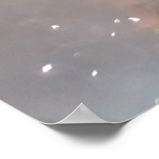 レッドフォックス、冬の森、風光明媚なイラストレーション。 ポスター (角)