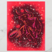 レッドフライヤーブルランニングーズアットスターリーナイト チラシ (裏面)