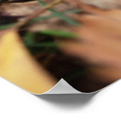 レッドフライ・アガリンのポスター ポスター (角)