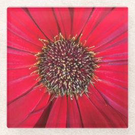 レッドフラワーガラスコースター ガラスコースター