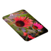 レッドフラワーズアットRHS Wisley マグネット (右側)