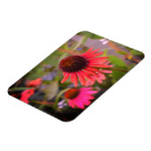 レッドフラワーズアットRHS Wisley マグネット (左側)