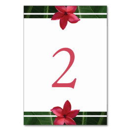 レッドフランジパニプルメリア結婚ズ テーブルナンバー