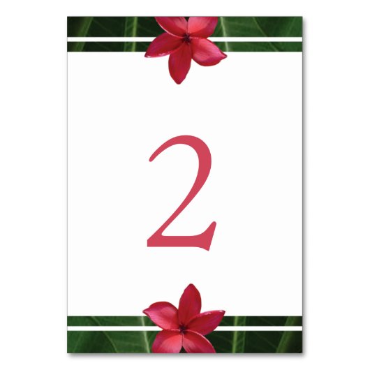 レッドフランジパニプルメリア結婚ズ テーブルナンバー (正面)