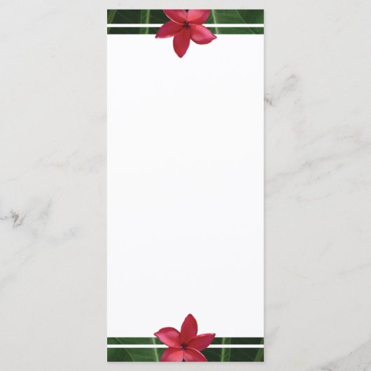 レッドフランジパニプルメリア結婚ズ メニュー (裏面)