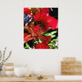 レッドブガンビラ ポスター (キッチン)