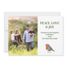 レッドブストロービンモダンバード写真