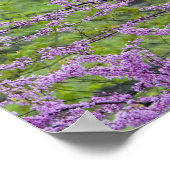 レッドブドの木をフル春開花近くディファイアンス ポスター (角)