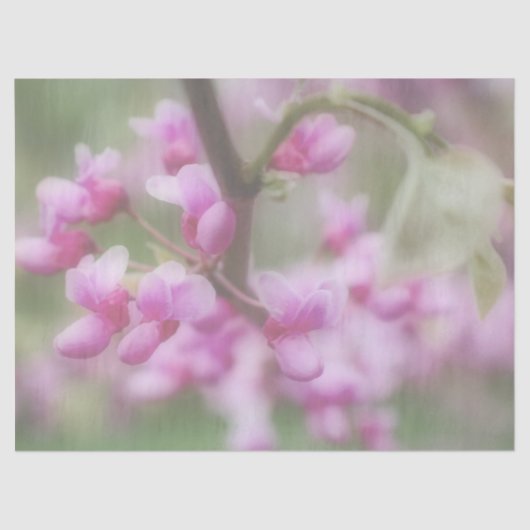 レッドブドの花 薄葉紙 (正面)