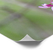 レッドブドアットポカゴン州パーク ポスター (角)