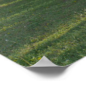 レッドブドツリー – エルドラドレイクカンザス ポスター (角)