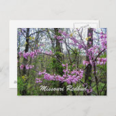 レッドブドミズーリ葉書 ポストカード (正面/裏面)