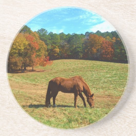 レッドブラウン馬、ティール（緑がかった色）ブルースカイ コースター (正面)