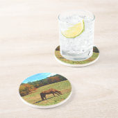 レッドブラウン馬、ティール（緑がかった色）ブルースカイ コースター (側面)