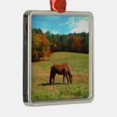 レッドブラウン馬、ティール（緑がかった色）ブルースカイ メタルオーナメント (右)