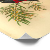 レッドブラックフライキャッチャー鳥ヴィンテージプリント ポスター (角)