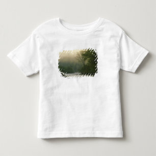 レッドブラフから見た霧の中の日の出、 トドラーTシャツ