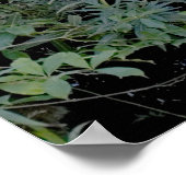 レッドブリッジプリント ポスター (角)