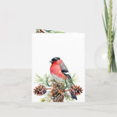 レッドブルフィンチクリスマスバーズベリー&パインコーン シーズンカード (裏面)