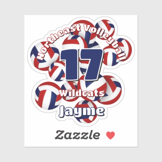 レッドブルーのバレーボールのチーム名の集団 シール (シート)