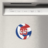 レッドブルーバレーボールチームのパーティーギフト10未満 マグネット (インサイチュ (食洗機))