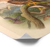 レッドブレストホークバードヴィンテージプリント ポスター (角)