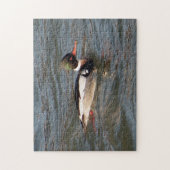 レッドブレストメルガンサージグソーパズル ジグソーパズル (縦)