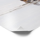 レッドブレストメルガンザーフォトプリント フォトプリント            (角)