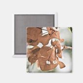 レッドブーゲンビリア マグネット (正面/裏面)