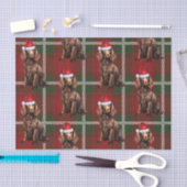 レッドプリドボイキンスパニエル犬ドッグラバーホリデー 薄葉紙 (クラフト)