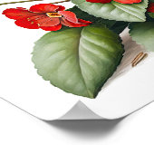 レッドプリムローズフラワーズアートプリントポスター ポスター (角)