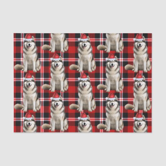 レッドプレイドアラスカンマラムートドッグクリスマスホリデー 薄葉紙 (正面)