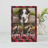 レッドプレイドハッピーハウリデイズドッグフォトコラージュ シーズンカード (スタンド正面)